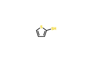 2-Mercaptothiophene CAS 7774-74-5
