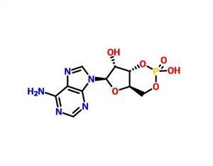 Adenosin 3 ', 5'-cykliskt monofosfat (CAMP) CAS 60-92-4