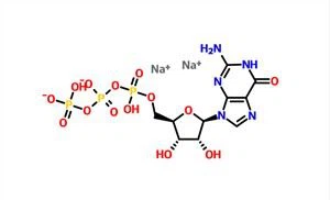 Guanosin5'-(tetrahydrogen Triph) (GTP-Na2) CAS 56001-37-7