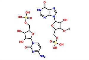 Polyinosinic–polycytidylic Acid Sodium Salt(Poly IC) (PIC) CAS 24939-03-5