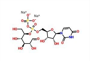Uridin 5'-dihosphoglus Disodium Salt UDP-G CAS 28053-08-9