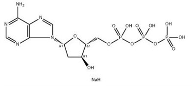 2'-deoxiadenosin 5'-trifosfat, dinatrium CAS 74299-50-6